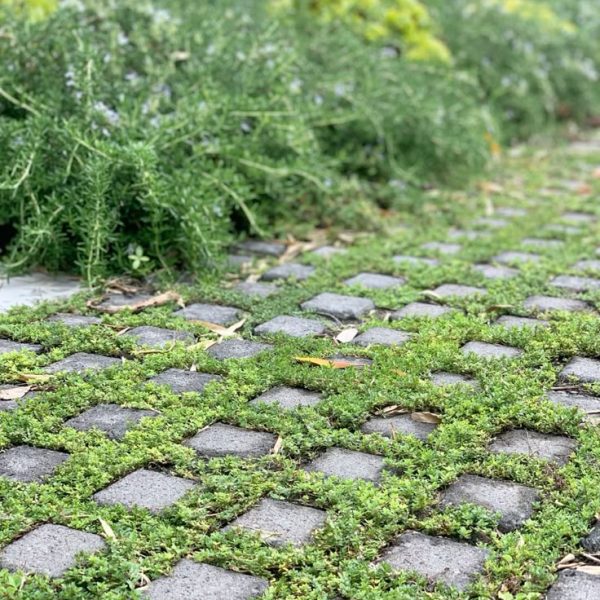 Permeable driveway