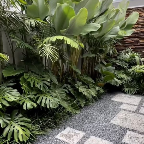 Turned a Small Space Into a Beautiful Garden Paradise!